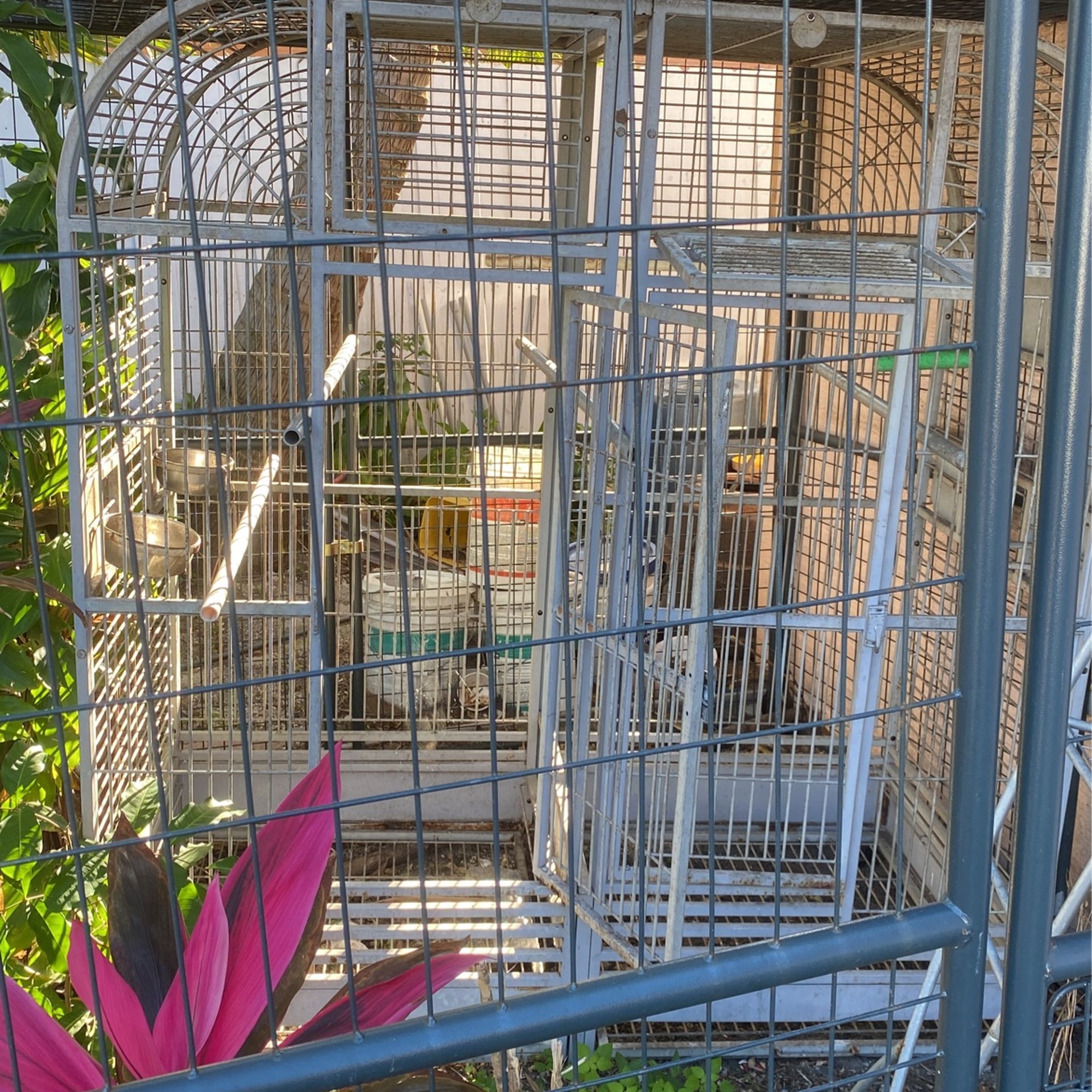 Birds Cage