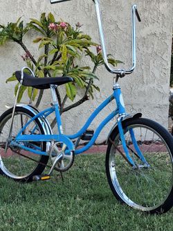 Baby blue classic schwinn