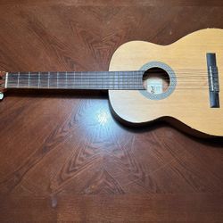 Acoustic Guitar
