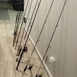Spinning Cast Rod And Reels 