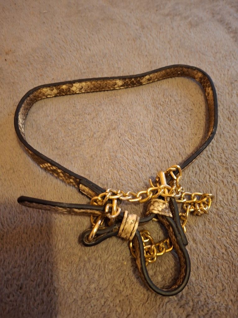Dog Collar