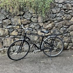 Momentum Street Bike