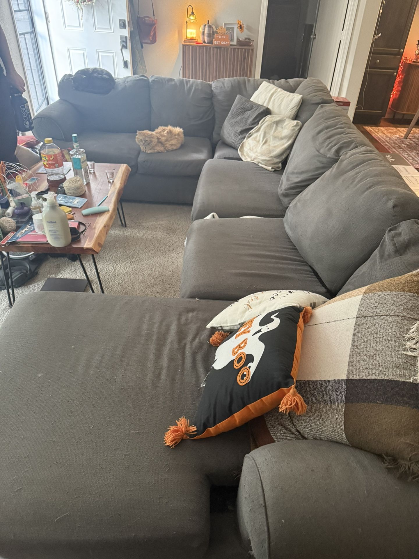 Free Sectional Couch (Pillows And Kitties Not Included)