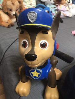 Paw patrol chase