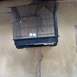Cages