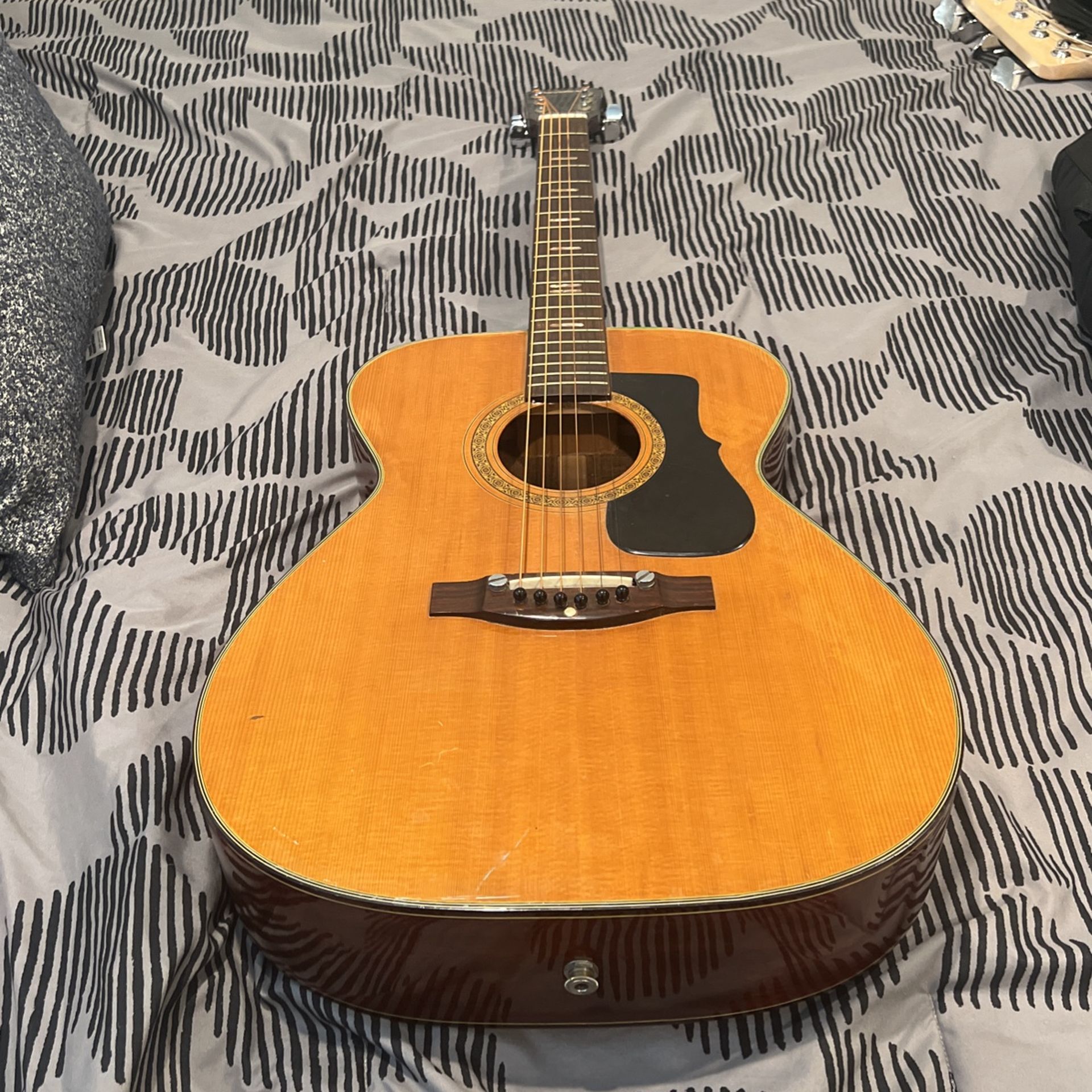 Ventura Bruno V12 Acoustic Guitar
