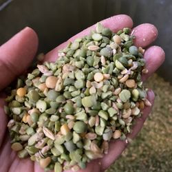 Non-gmo Peas Split & Whole For Your Livestock Flock Chickens, Goats 