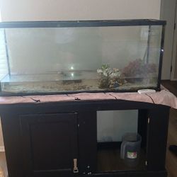 Fish Tank With Everything Incuded. 