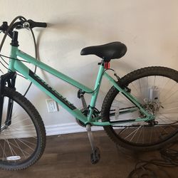 Nishiki Mountain Bike 🚴 