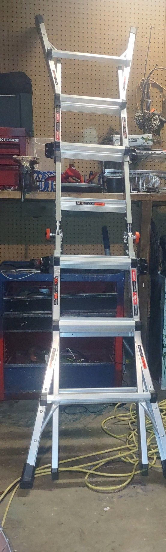 Little Giant Ladder 
