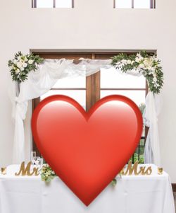 Wedding or Event Arch with Tulle and Flowers