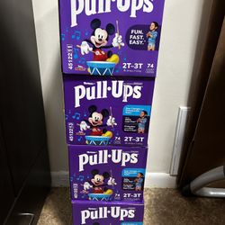 2-3T Pull Ups Diapers