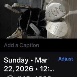 Misc Men’s Golf Clubs With Bag