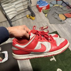 Dunks Size 11