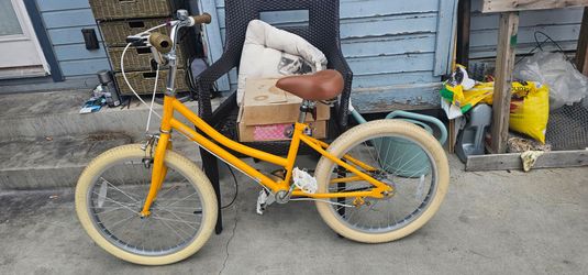 kid bike 20"