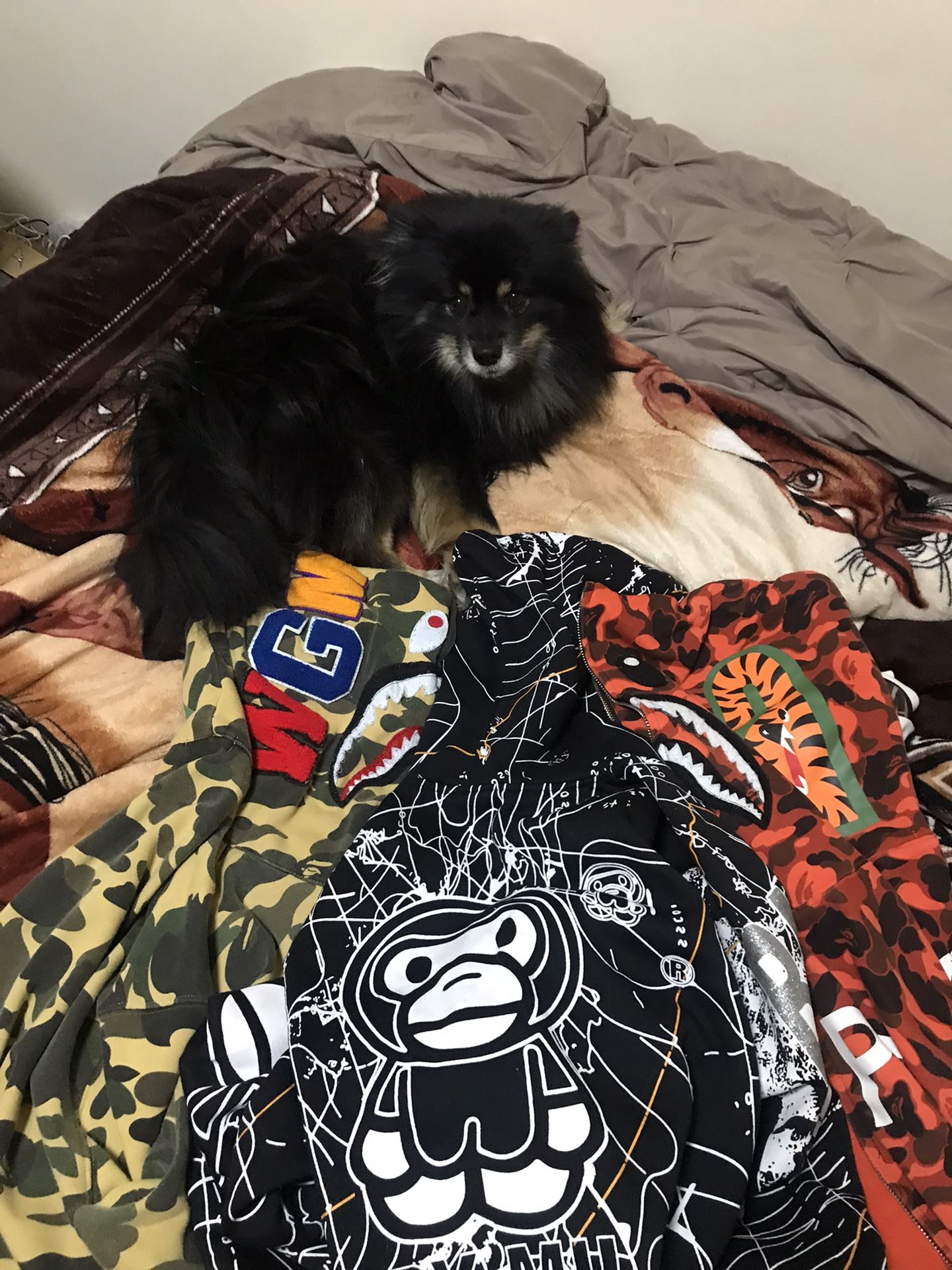 Bape Hoodies 📲