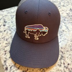 Patagonia Hat 