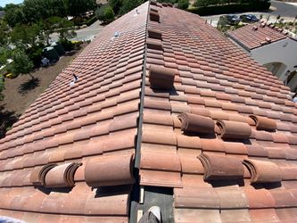 Professional Roofer