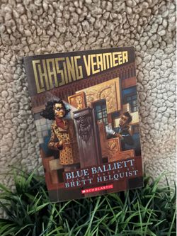 Chasing Vermeer book