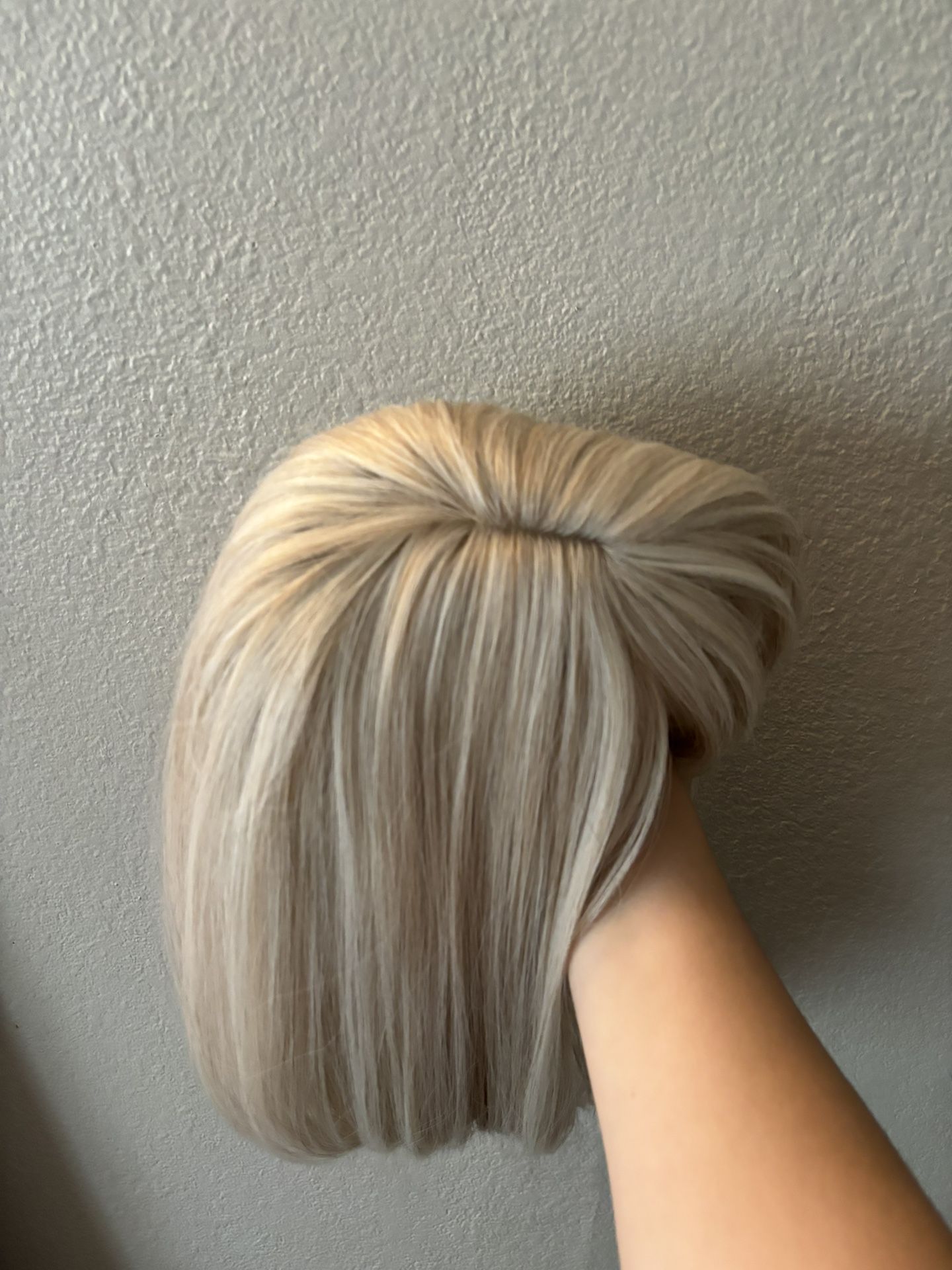 Blond Wig $20