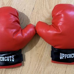 Punching Bag With Gloves
