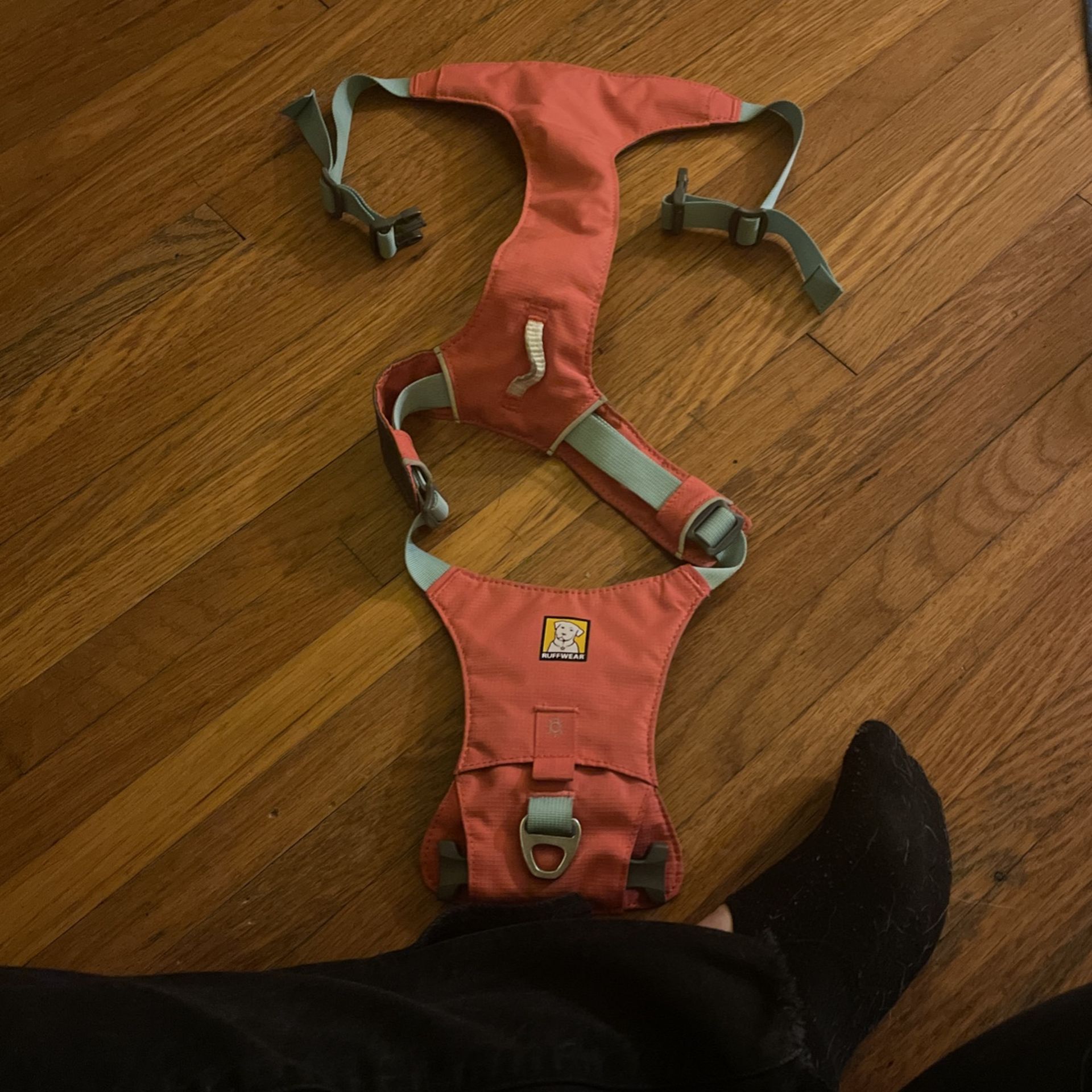 Dog Harness