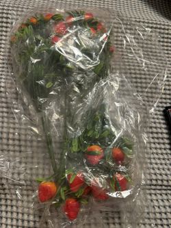 Strawberry Plant Decor