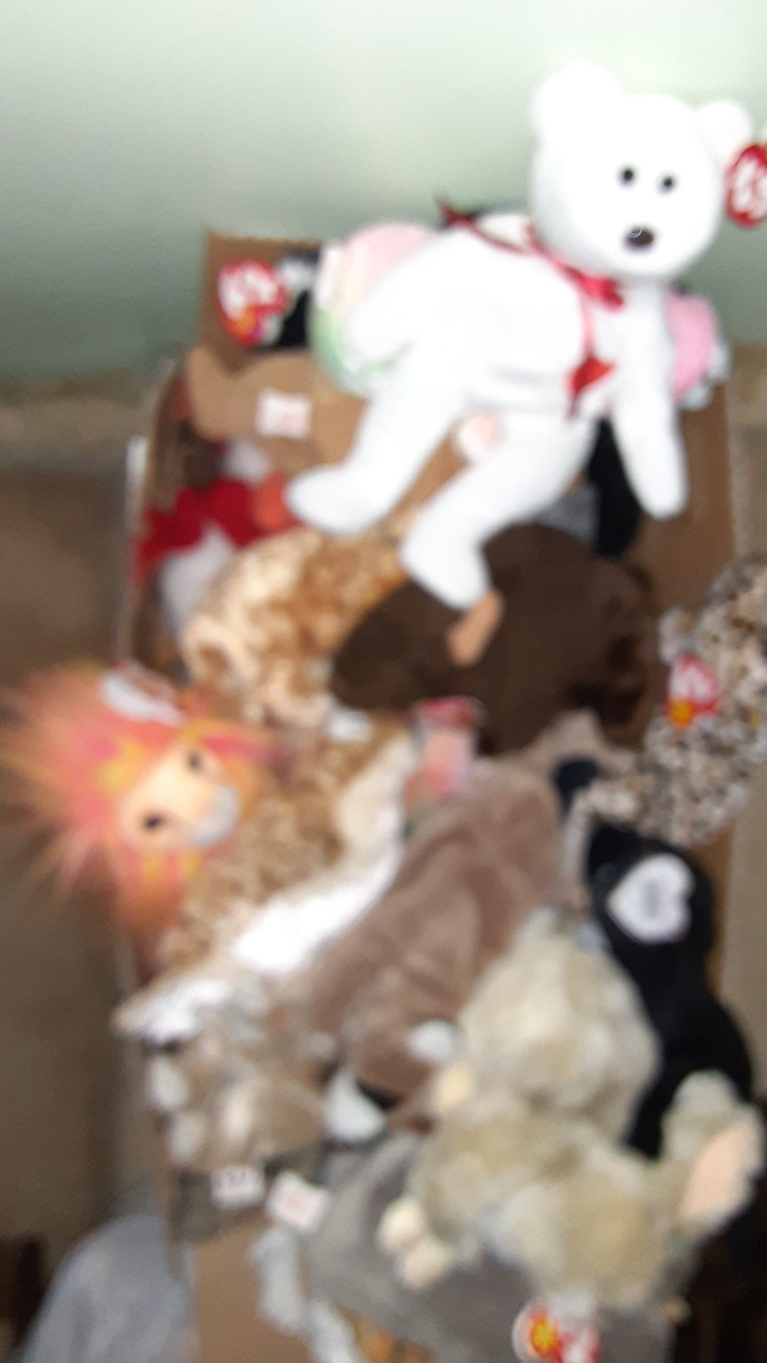 TY beanie babies 55 of them used/ like new