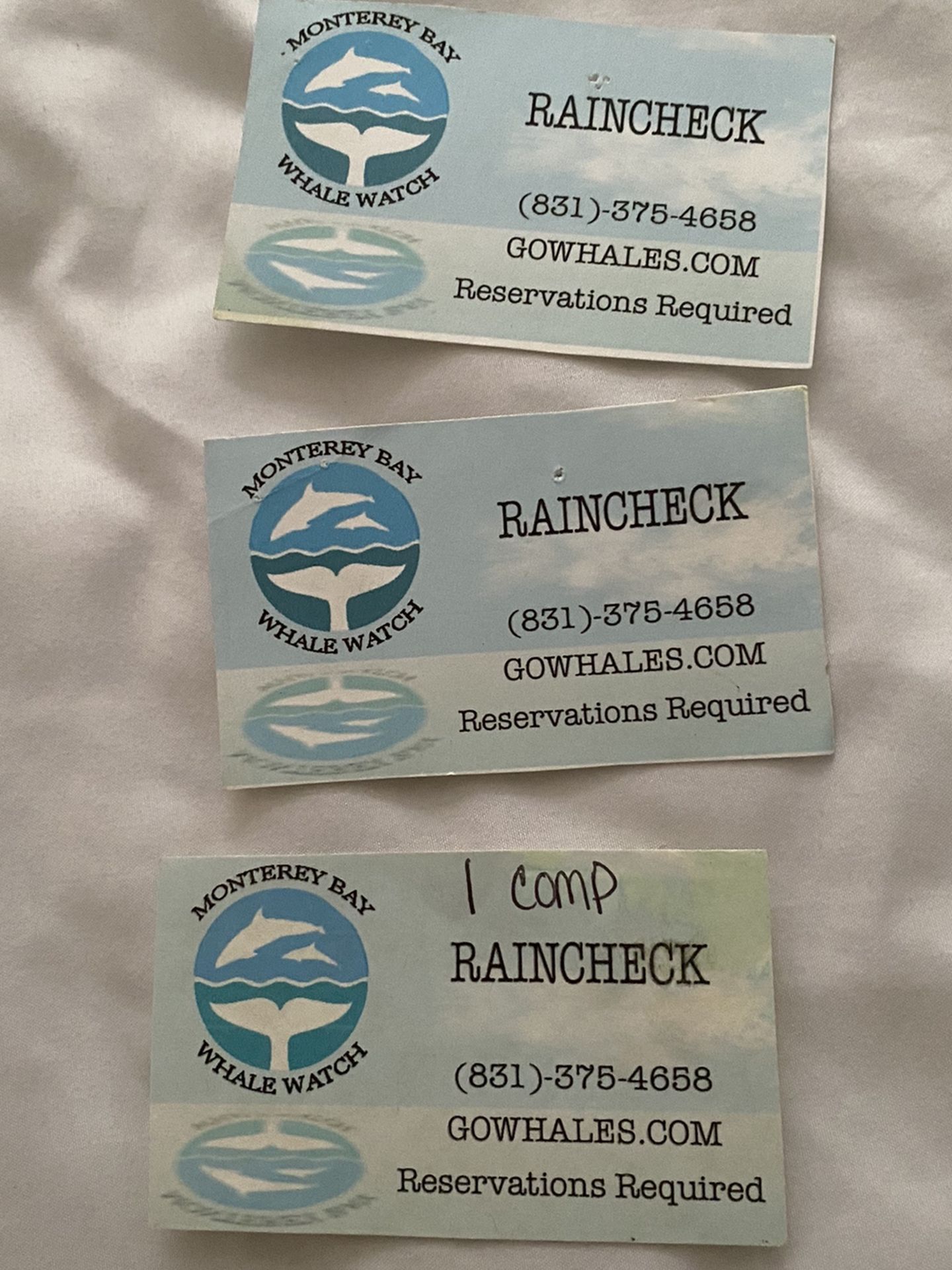 Whale Watching Tickets