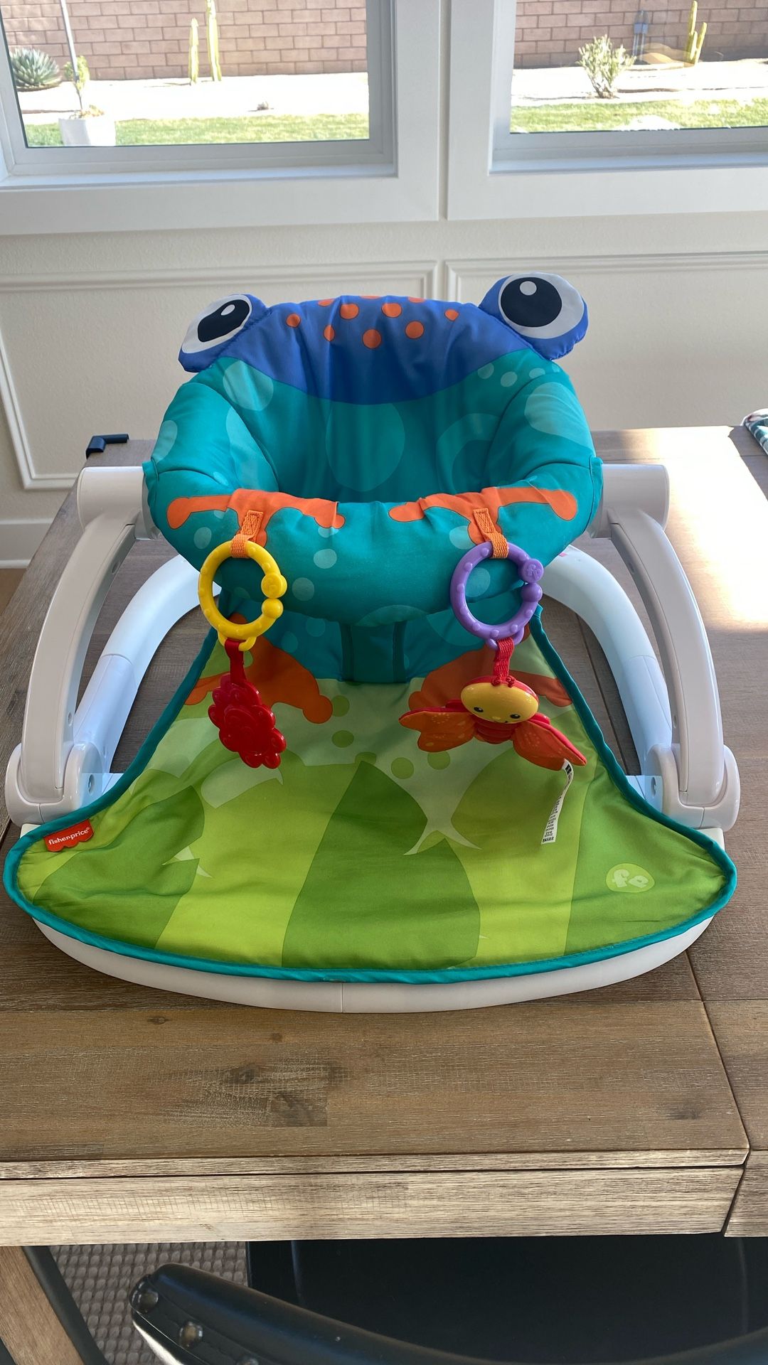 Fisher-Price Sit-Me-Up Floor Seat Frog