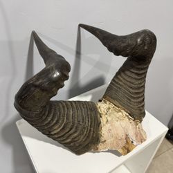 Vintage Horns