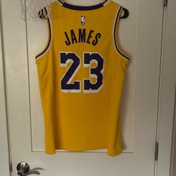 Lebron James Los Angeles Lakers Nike Swingman Jersey sz 44 / Medium
