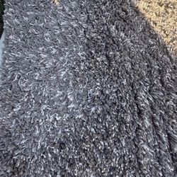 Area Rug