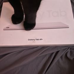 New Galaxy Tablet