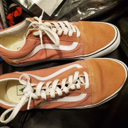 Great Condition Van's Sneaker