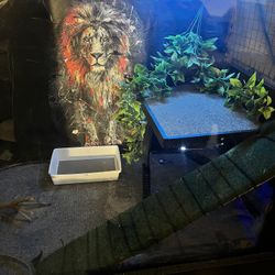 Custom Made Tank