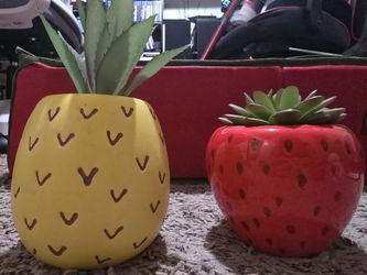 Office Fruit Planters