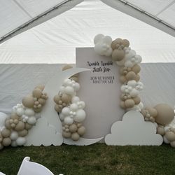 Moon Gender Reveal 