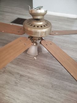 Fan