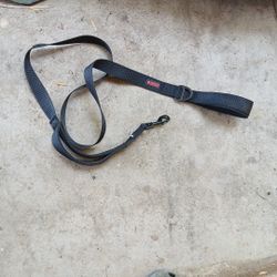 Kong Leash 
