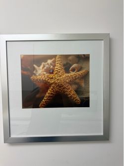Two wall pictures with frames