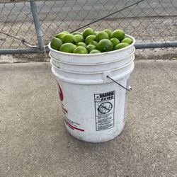 Full Bucket Of Fresh Lines