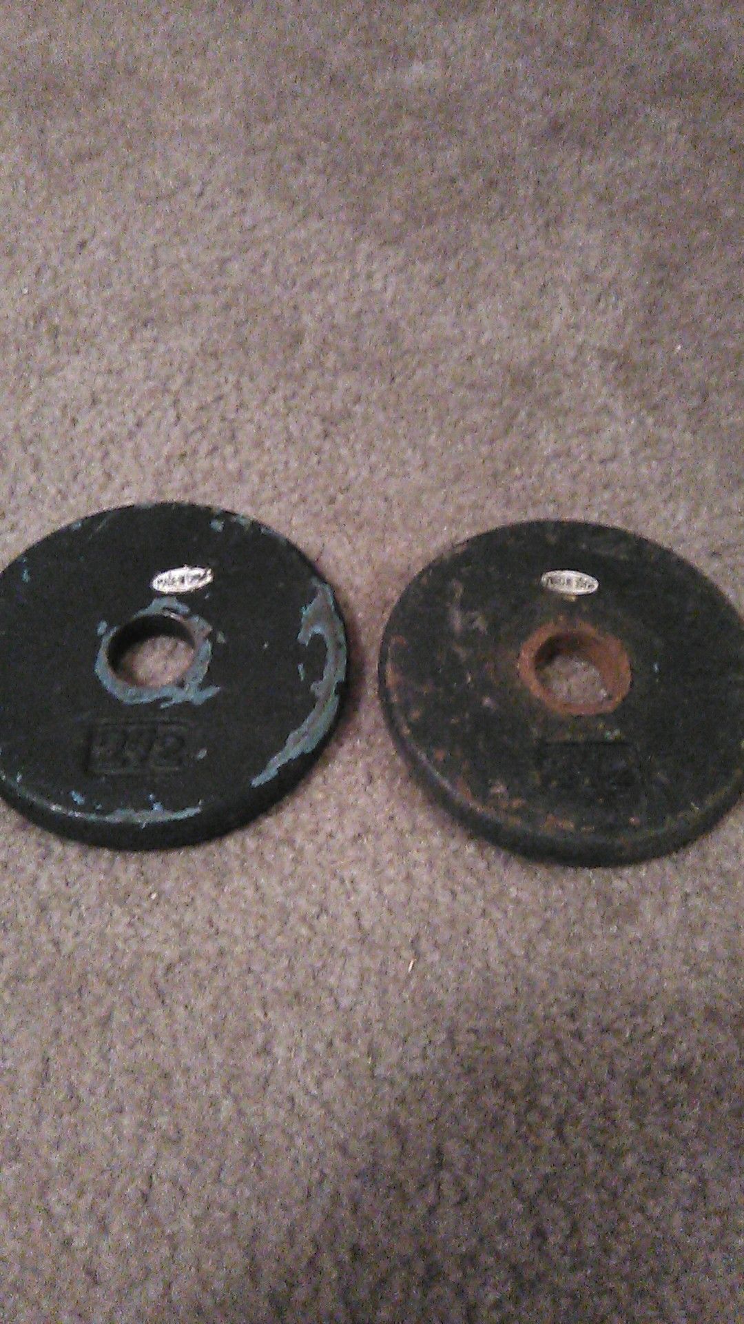 Two 2 1/2-lb weight plates