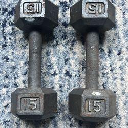 15 lb Dumbbell Weights
