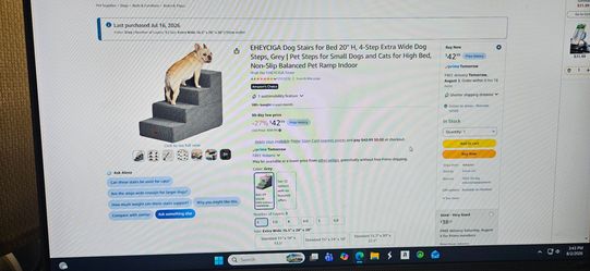 Dog Stairs