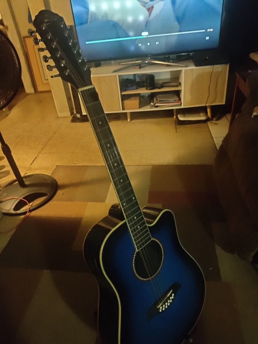 12 String Acoustic Electric 