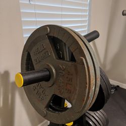 Weight plates (386 lbs Varied condition) + Weight tree