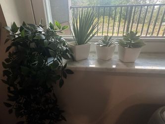 Fake plants Set