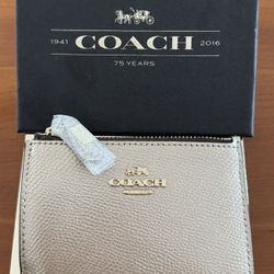 Coach Mini ID Skinny in Platinum