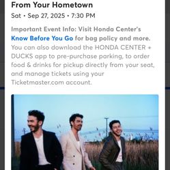 Jonas brothers Concert 2 Tickets 